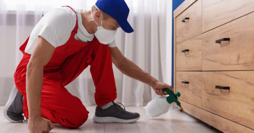 capa dedetizacao em Fortaleza